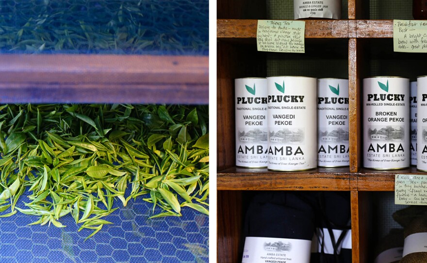 Bell and his partners had custom drying racks designed and made locally. The estate sells its tea in a gift shop on site. The workers receive bonuses from a portion of the sales.