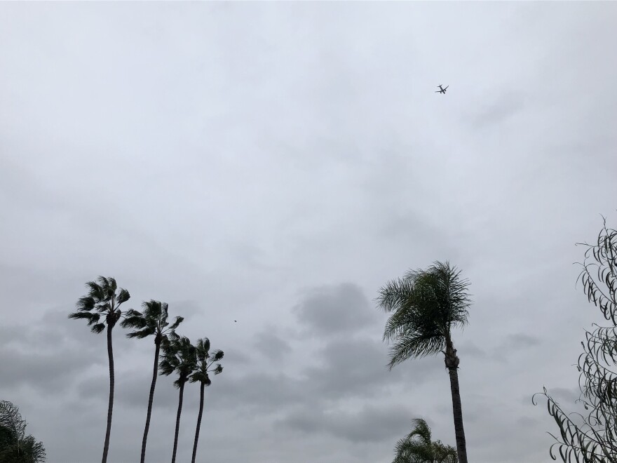 Palm trees in Golden Hill neighborhood of San Diego County, Calif. Dec. 14, 2021.