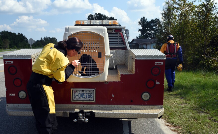 The ASPCA has a number of tips for how to keep pets safe during a storm. On the top of the list: Don't leave them behind.
