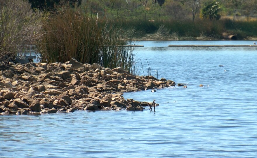 A portion of Lake Murray, which is now 75.3% full is shown on March 2, 2023.