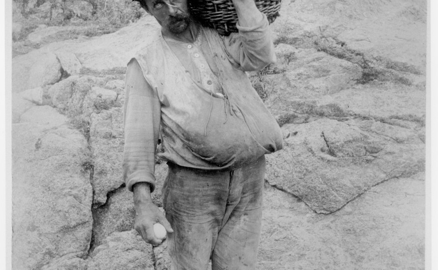 "Scottie the egger" wearing a shirt typical of egg hunters. The shirts had built-in pouches to make egg collecting easier.