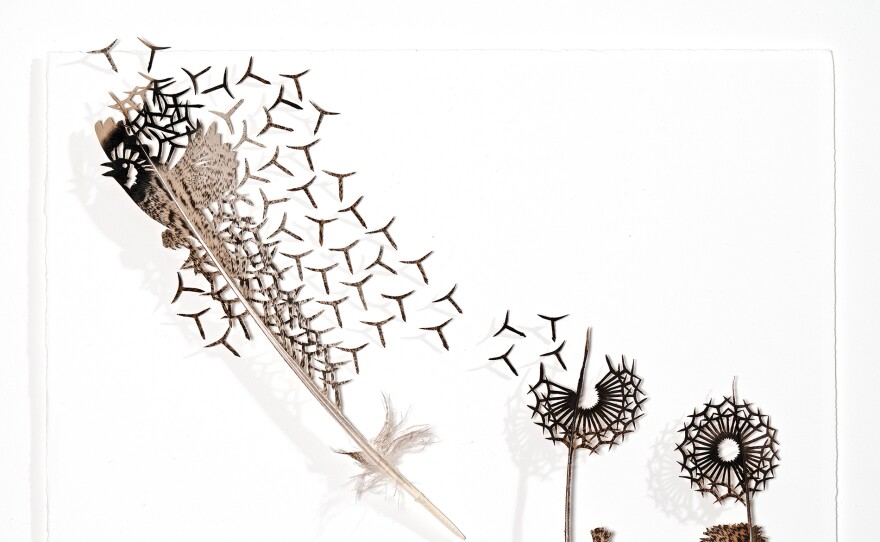 Chris Maynard, Dandelion Seeds is featured in CRAFT IN AMERICA "Science"