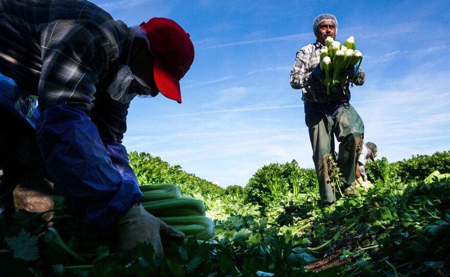 Researchers point to a number of causes for dwindling farmworkers: tighter border controls; higher prices charged by smugglers; well-paying construction jobs and a growing middle-class in Mexico that doesn't want to pick vegetables for Americans.