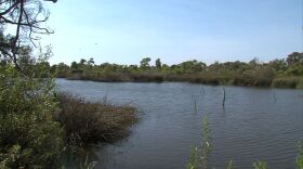 The Tijuana River Valley and estuary make up the last intact coastal wetlands in Southern California. 
