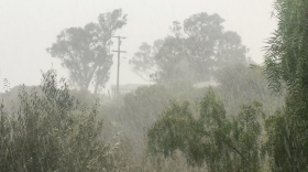 Rain in Oceanside, Jan. 22, 2017. 