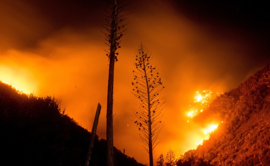 The Blue Cut fire burns in Upper Lytle Creek near Wrightwood, Calif., on Friday.