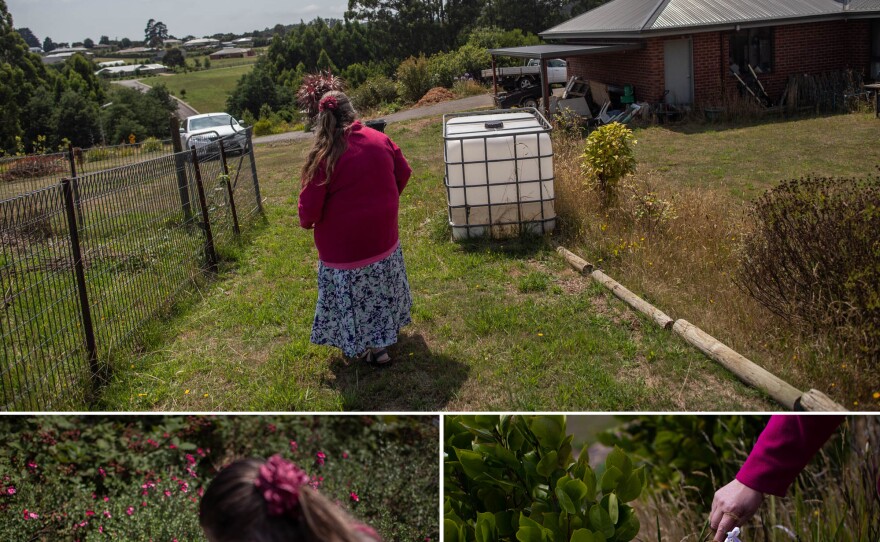 Stonehouse transplanted some of her beloved plants to the new property, situated at the top of a hill next to farmland. She says the roses grow well in the open sun.