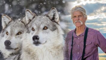 Doug Smith: 'Wild Wolves of Yellowstone'