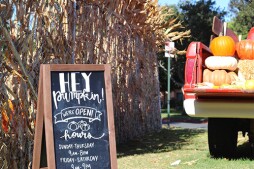 Goff Family Pumpkin Patch at Liberty Station