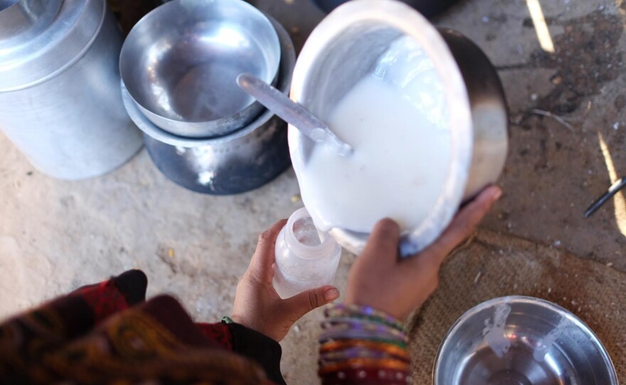A Maldhari woman prepares a baby bottle of warm camel milk for her one year-old. Children in this community grow up drinking camel milk from a very young age.