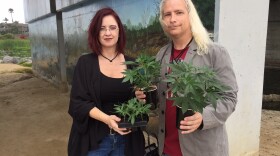 David and Amber Newman, owners of medicinal marijuana grower A Soothing Seed Collectiveare shown in this photo, July 25, 2017.
