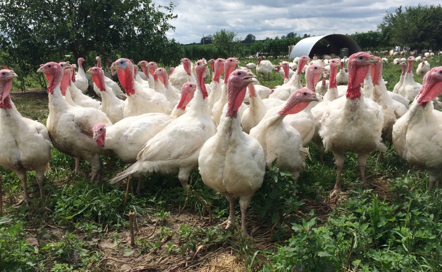 Greg Gunthorp converted his garage into a slaughterhouse so he wouldn't have to truck his hogs and turkeys to a federally inspected plant in Michigan.