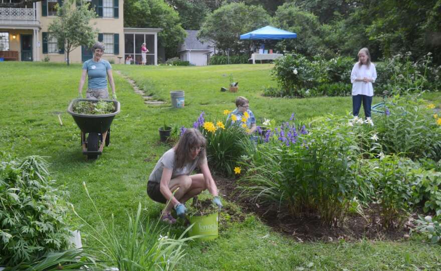 Emily Dickinson was a lifelong gardener. Now, archaeologists are working to unearth the poet's original gardens and bring her Amherst, Mass., homestead back to its natural state. Above, a gardening day at the homestead.