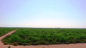 Construction on a coal-fired power plant equipped with Carbon Capture and Storage technology, or CCS is expected to begin here in Penwell, Texas this year. One of two such plants in the U.S., the other is in Kemper, Mississippi.