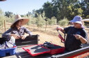 Field and restoration technician Kyle Moeller (left) and UC Davis student Tatiana Pointer prepare to maintain olive trees Thursday, July 30, 2026, at Maples Farm in Woodland.