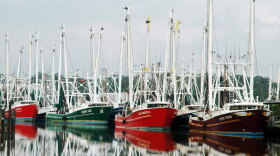 Fishing boats sit idle on the docks at Bayou La Batre, Ala. Fishermen are just one of the groups that may file lawsuits against BP and other companies for damages or other losses as a result of the Gulf oil spill.