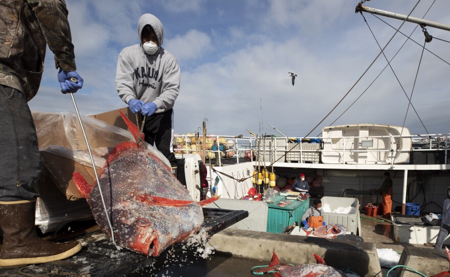 Opah fish are hauled onto a dock for sale last week in San Diego. Fishermen coming home to California after weeks at sea are finding strict anti-coronavirus measures, and nowhere to sell their catch.