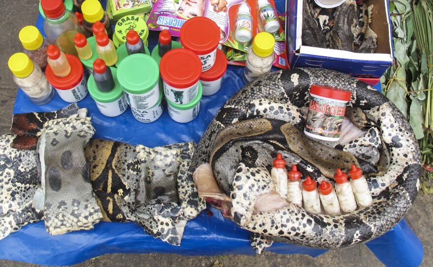 A vendor hawks grasa de culebra, or snake fat, said to have healing properties – for broken bones, fractures and ovarian and back pain.