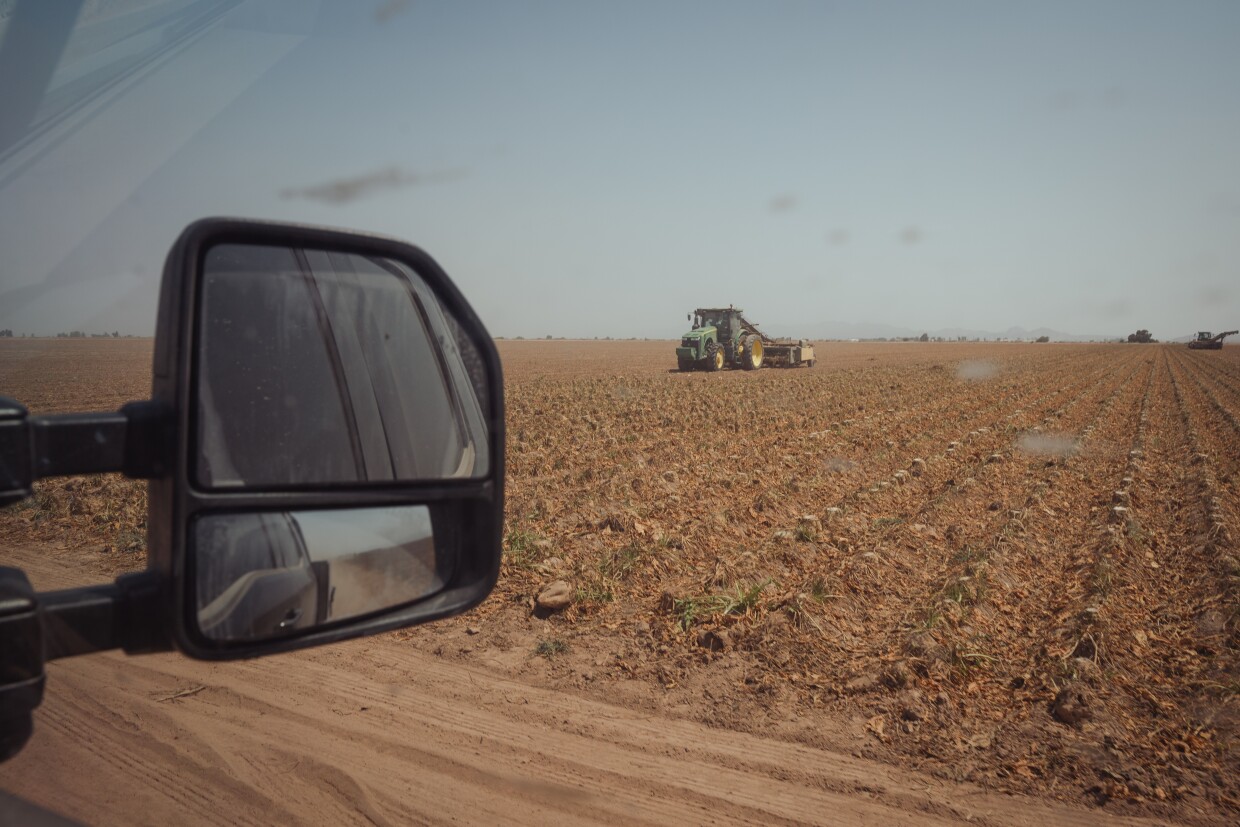 A tractor sits in one of the Abatti family's fields near El Centro in Imperial County on July 16, 2025. Sugar beets make up over a third of the crops that Abatti and his family grow every year.