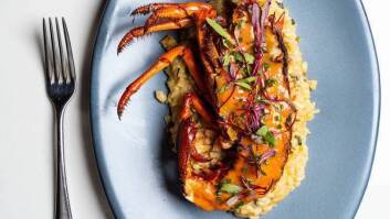 Vistal’s ‘Behind the Catch’ Dinner Series: The Spiny Lobster