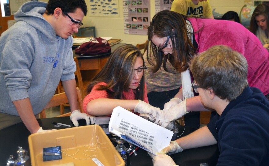 Students at Dalton L. McMichael High School in Mayodan, N.C.