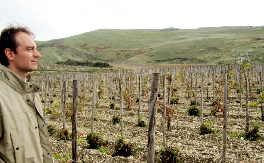 Francesco Galante leads the Libera Terra, a cooperative of farmers and producers who create food and jobs outside of the Mafia's control.
