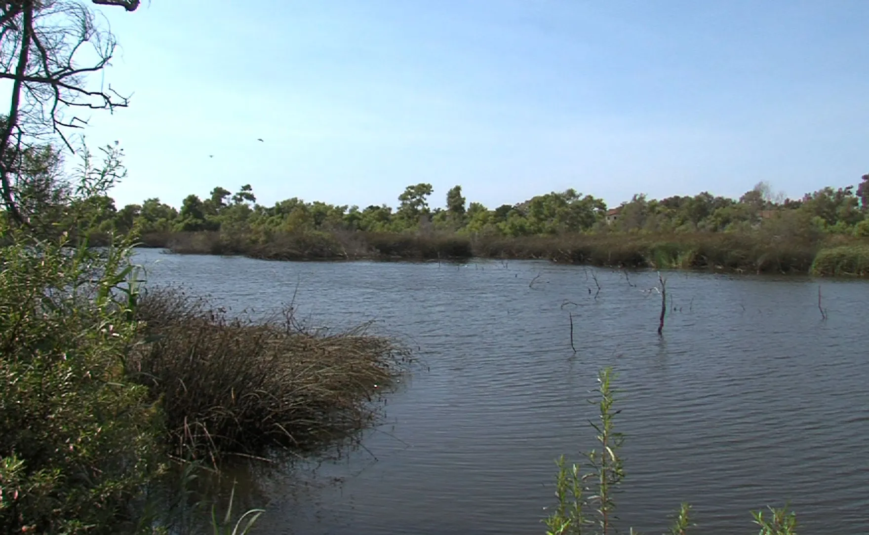 Report: San Diego County misses out on up to $500M each year due to Tijuana River pollution
