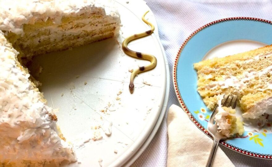 Unfortunately, the creamy goodness of Uncle Monty's coconut cake doesn't last long for the Beaudelaire children.