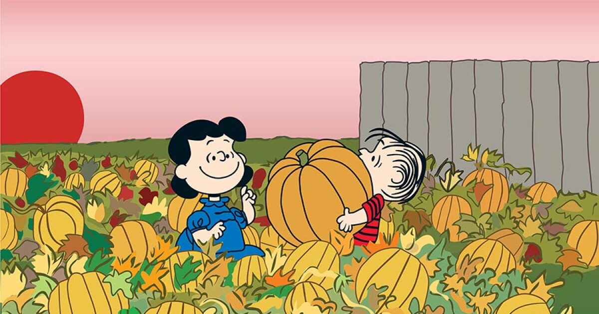 29+ Where Can I Watch Charlie Brown Thanksgiving 2021 Images