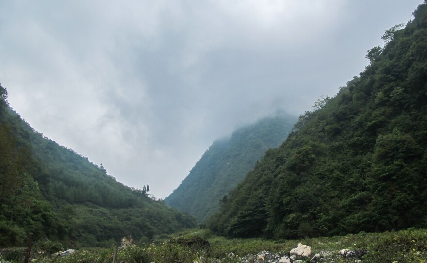 A path leading to an area where schisandra grows, near the Huangyang River in China's Upper Yangtze region. Long before it became a "superfood" in the U.S., schisandra was made into soups and jams and prized as a medicinal plant in this area. Now the berry is at the center of a dramatic new approach to conservation.