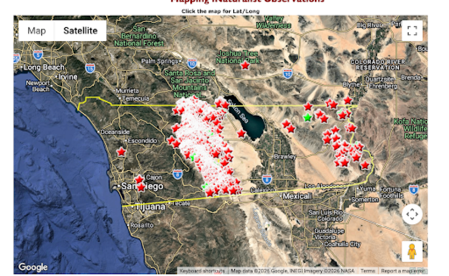 A map showing SDNHM's collected specimens of California Barrel Cactus (Ferocactus cylindraceus) plus verified iNaturalist app observations in the region.