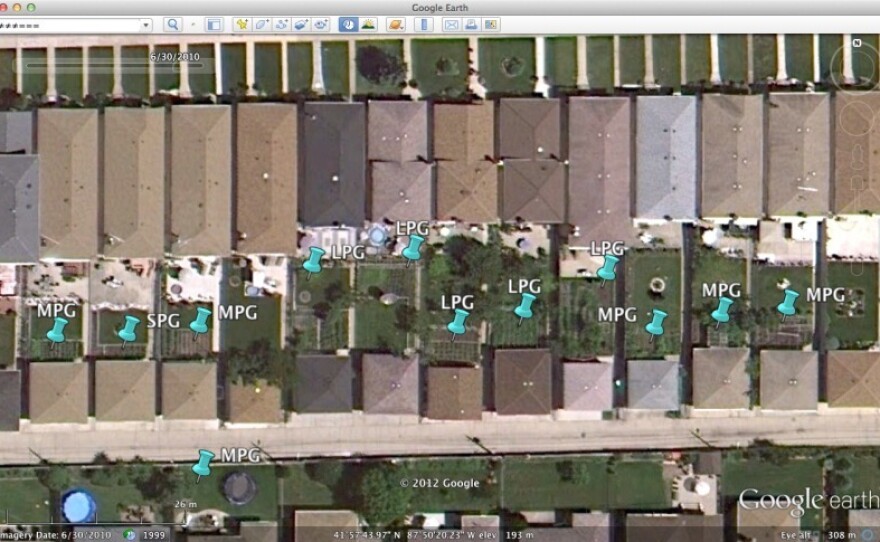 John Taylor found a cluster of backyard gardens in the Google Earth image of the far northwest side of Chicago.