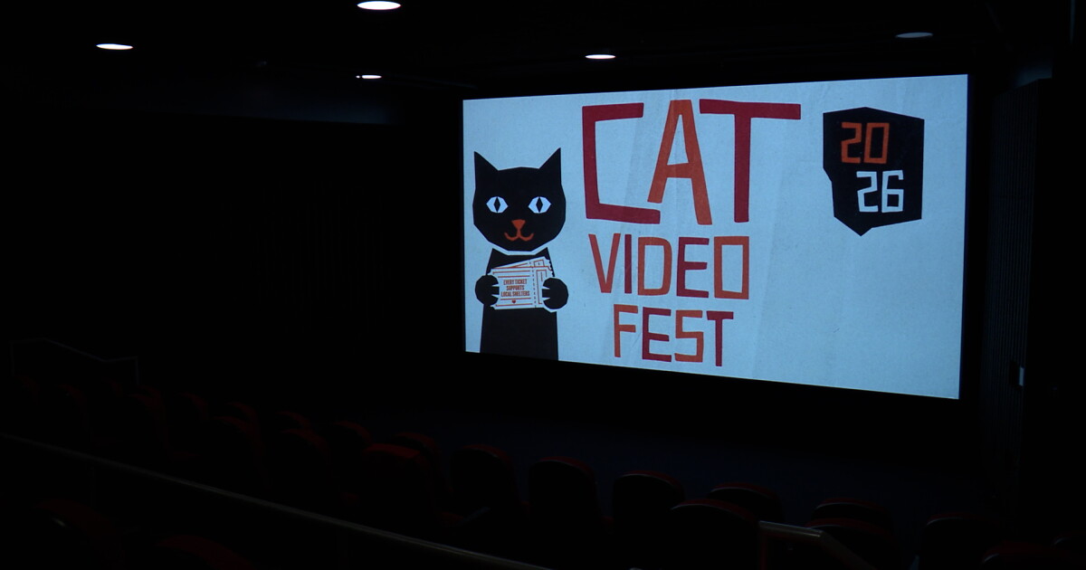 Fabulous felines hit the big screen in San Diego