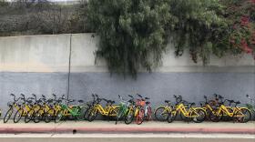 Dockless shared bikes crows the sidewalk of State Street near the edge of Little Italy, March 23, 2018.