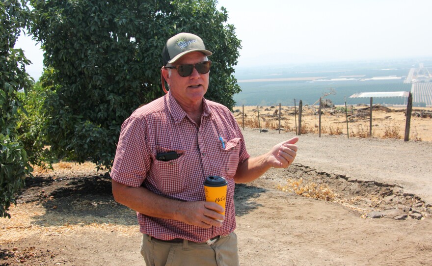 David Roberts grows citrus crops on the eastern side of the Central Valley, near Woodlake, Calif. Some of his orchards depend entirely on water that he pumps from the aquifer.