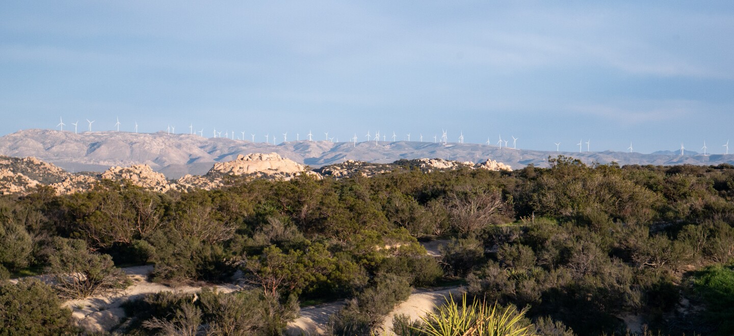 Wind turbines trail off in the horizon looking east in Boulevard, March 6, 2026.