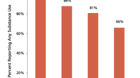 Nearly all of the juveniles interviewed, 96 percent, reported using at least one drug in their lifetime, and 88 percent said they had used a substance during the past year.