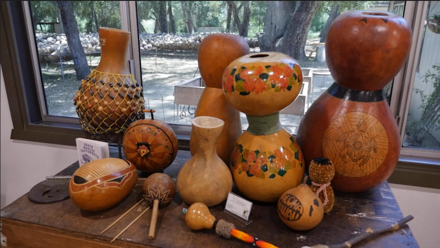Hard-shelled gourds are made into musical instruments, May 16, 2025.