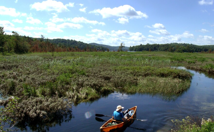 Author and activist Bill McKibben paddles toward Follensby Pond in New York's Adirondack Mountains, along the route followed by Ralph Waldo Emerson in the summer of 1858.