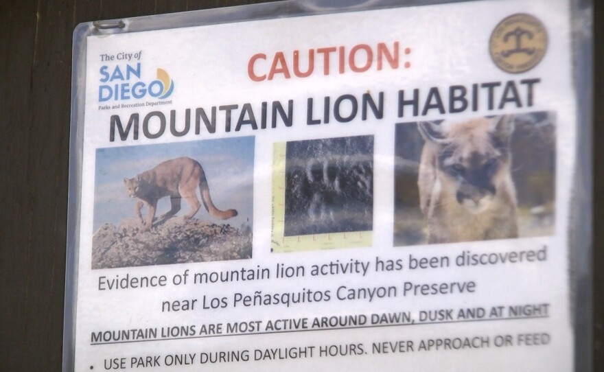 A sign warning parkgoers of mountain lion activities in the Los Peñasquitos Canyon Preserve, May 28, 2019.