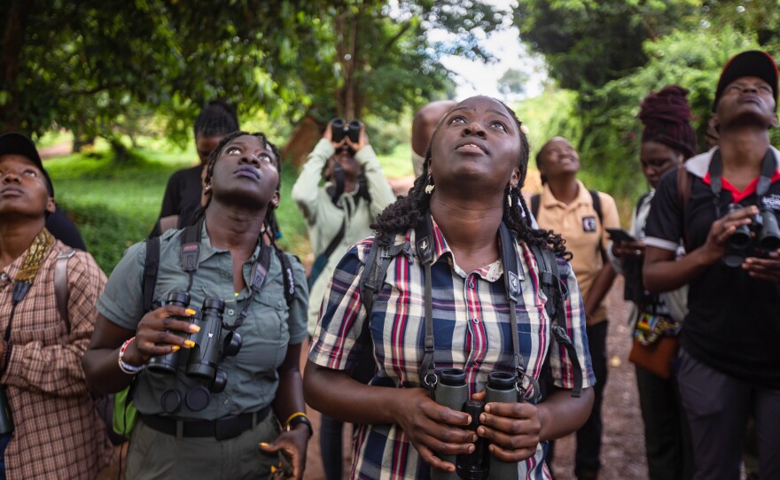 Judith Mirembe (in the plaid shirt) leads a bird-watching excursion on Nov. 19, 2023 in the Entebbe Botanical Gardens, on the shores of Lake Victoria in Uganda.