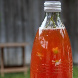 Hands-On Kombucha Workshop