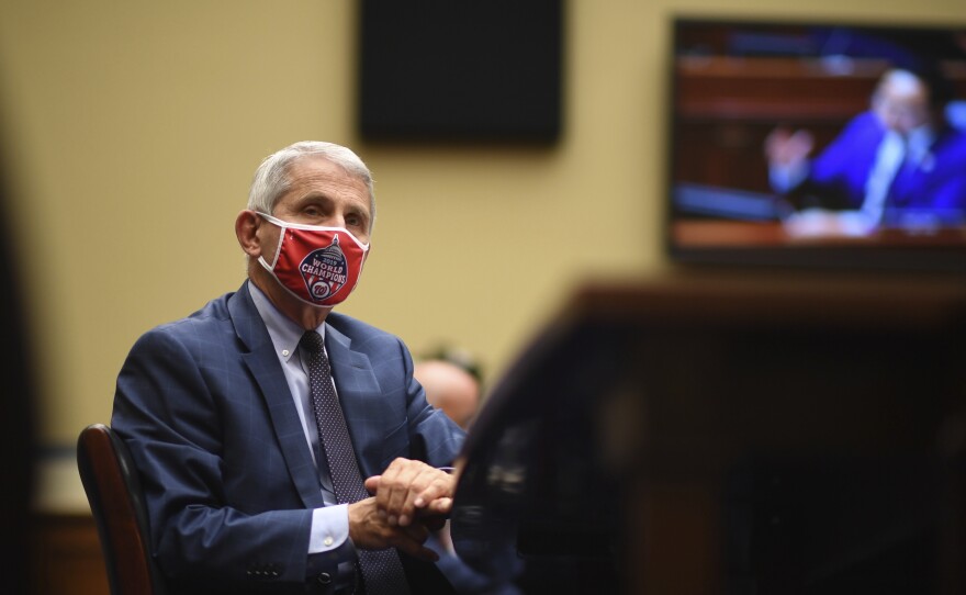 Dr. Anthony Fauci, director of the National Institute of Allergy and Infectious Diseases, listens during a House  subcommittee hearing on Friday.