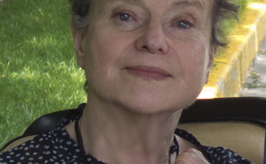 Diane Johnson's previous books include <em>Le Divorce</em>, <em>Le Mariage</em> and <em>L'Affaire</em>.