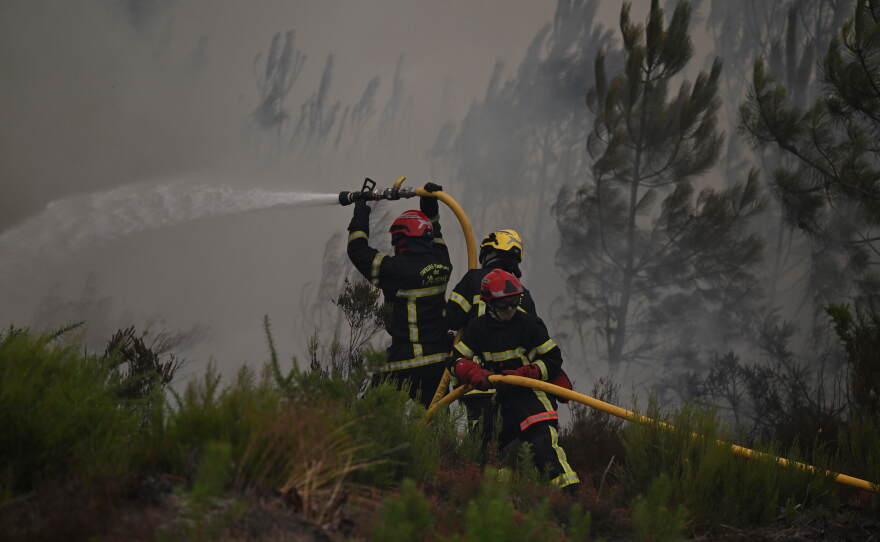 Firefighters spray water in a burning forest near Lacanau, southwestern France, Saturday, July 25, 2026.