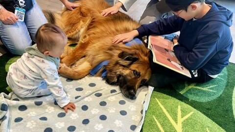 Paws and Tales Reading Program