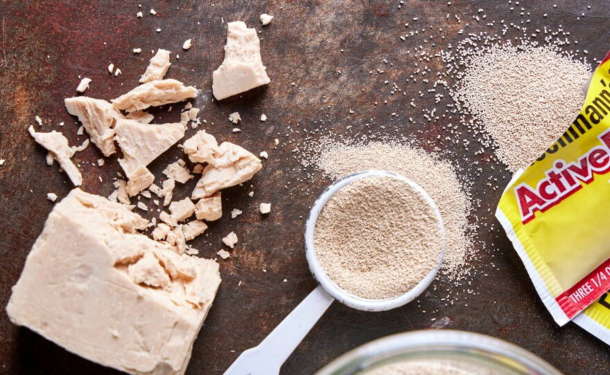 Rosemary Gill offers a lesson on Yeast 101
