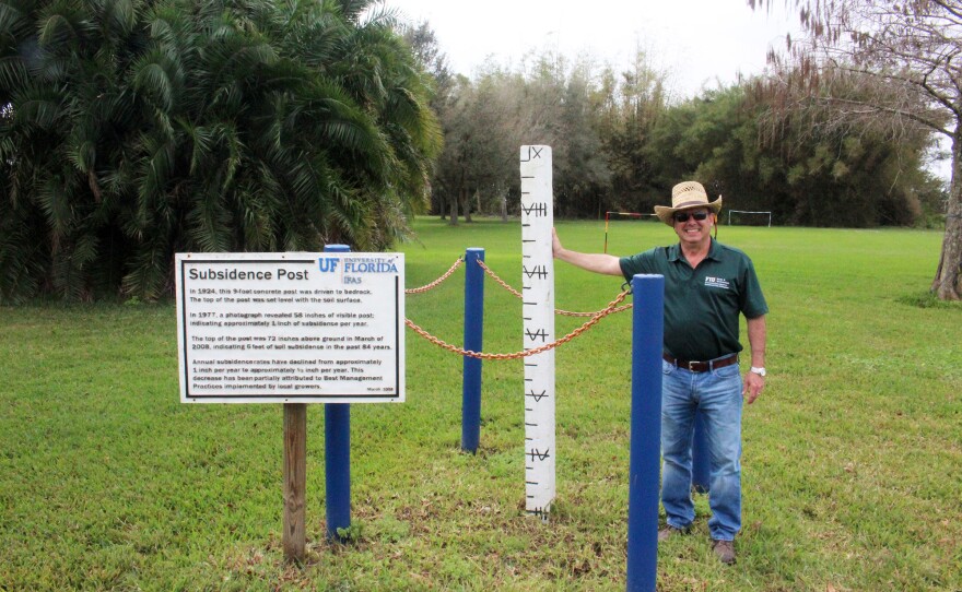 Leonard Scinto, a researcher at Florida International University, standing beside a concrete post that measures the subsidence of soil in the Everglades Agricultural Area. In 1924, the top of the post was level with the ground surface.