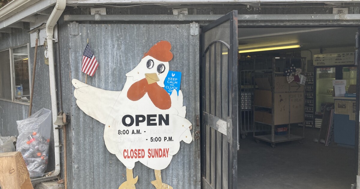 Audubon California says take down bird feeders to help stop avian flu