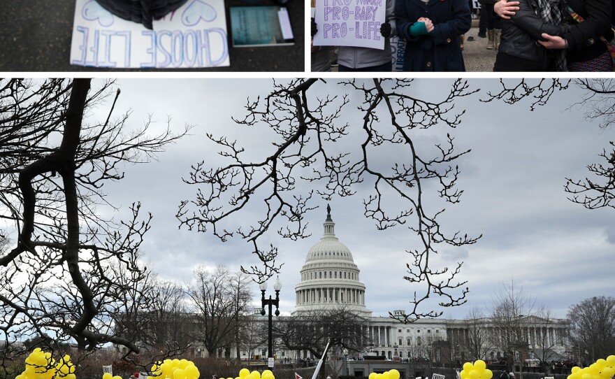 (Top) Abortion rights opponents pray, embrace and demonstrate on the steps of the U.S. Supreme Court. (Bottom) Thousands of abortion rights opponents walk past the U.S. Capitol building during the march.